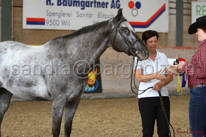 24-ApHC HIH_061.jpg